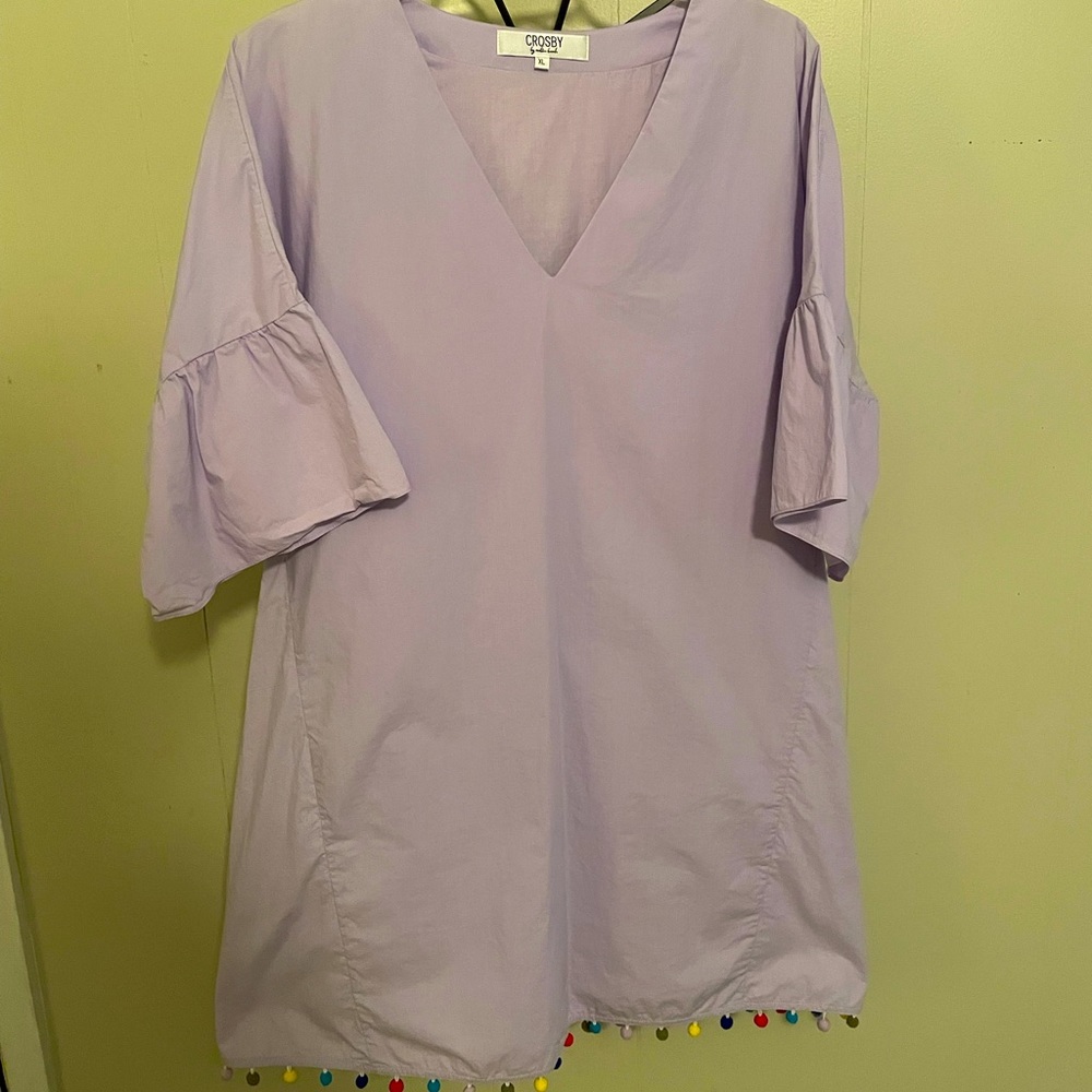 Crosby by Mollie Burch Lavender Mini Dress